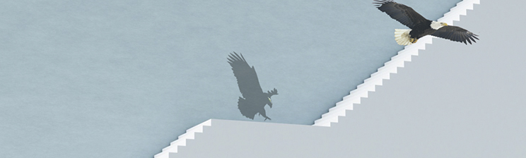 EVO厅·(中国区)视讯官网